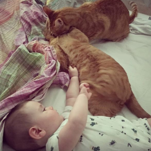 bebé y gatos en casa